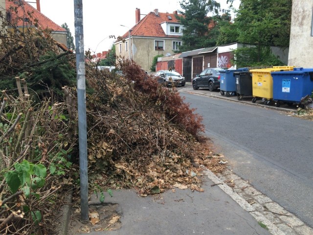 Tak wyglądają chodniki na Sępolnie po tym, gdy wynajęta przez miasto firma zabrała się za podcinanie żywopłotów