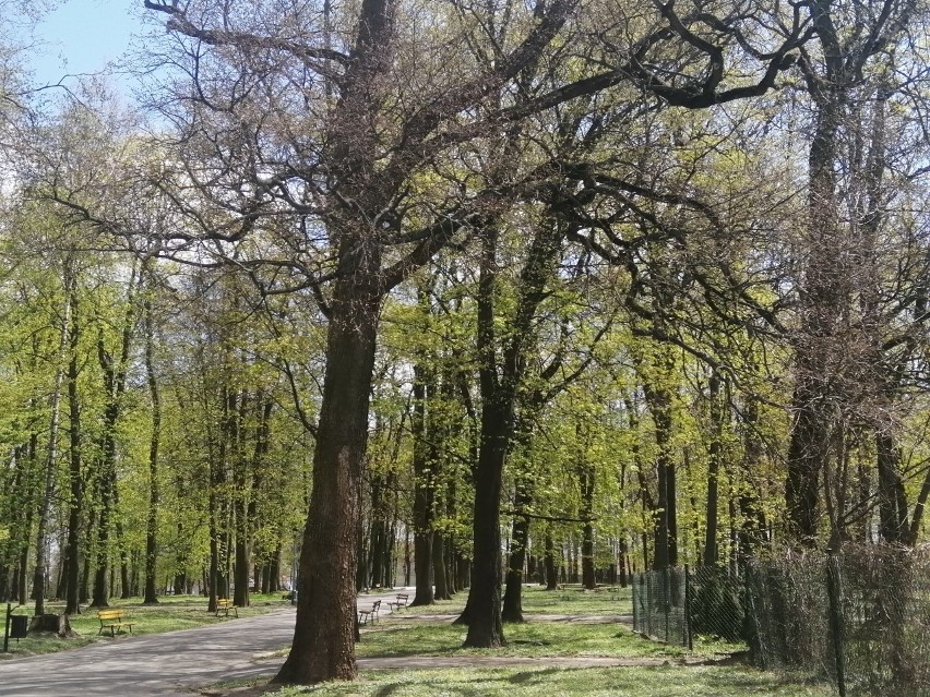 Park Miejski w Sandomierzu