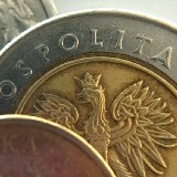 Areszt za pięć złotych dla czerszczanina