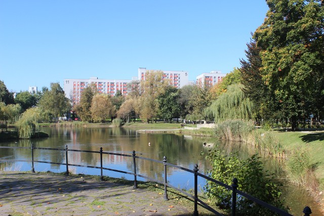 Park Kachla w Bytomiu zachwyca jesienną porą. Zobacz kolejne zdjęcia >>>
