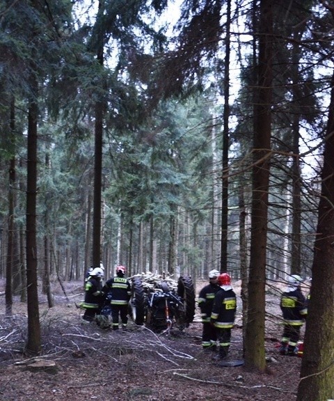 Wypadek w Cielczy: Mężczyzna zginął podczas wycinki drzew