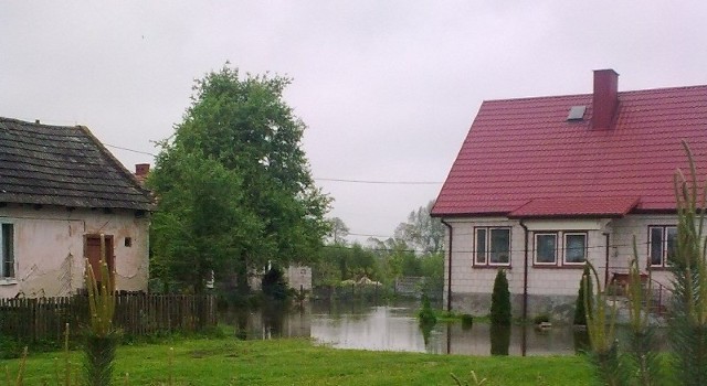 Najgorsza sytuacja panuje w Ostrowie Golecinach (gmina Chęciny), gdzie cztery posesje są zalane, w jednym domu woda dostała się do sutereny, w pozostałych jest na podwórkach. Woda w Nidze opadła tu tylko o osiem centymetrów.