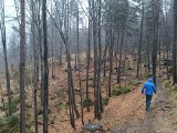 Grabowa i Kotarz – wycieczka z Brennej na początek sezonu turystycznego. Beskid Śląski zaprasza. Zobacz ZDJĘCIA