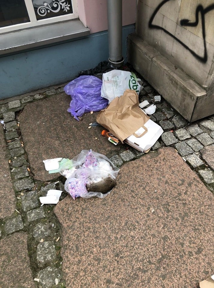 Szczecin. Podzamcze zaśmiecone nawet w czasie pandemii. Martwe szczury i worki ze śmieciami leżą na ulicach