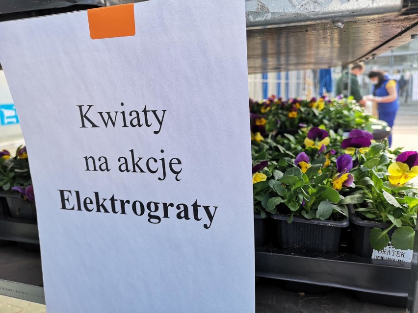 Sieć sklepów zorganizowała akcję "Kwiaty za elektrograty -...