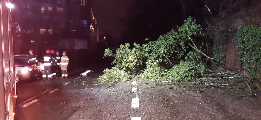Ulica Robotnicza w Szczecinie bez przejazdu. Drzewo przewróciło się na jezdnię i zerwało linię energetyczną