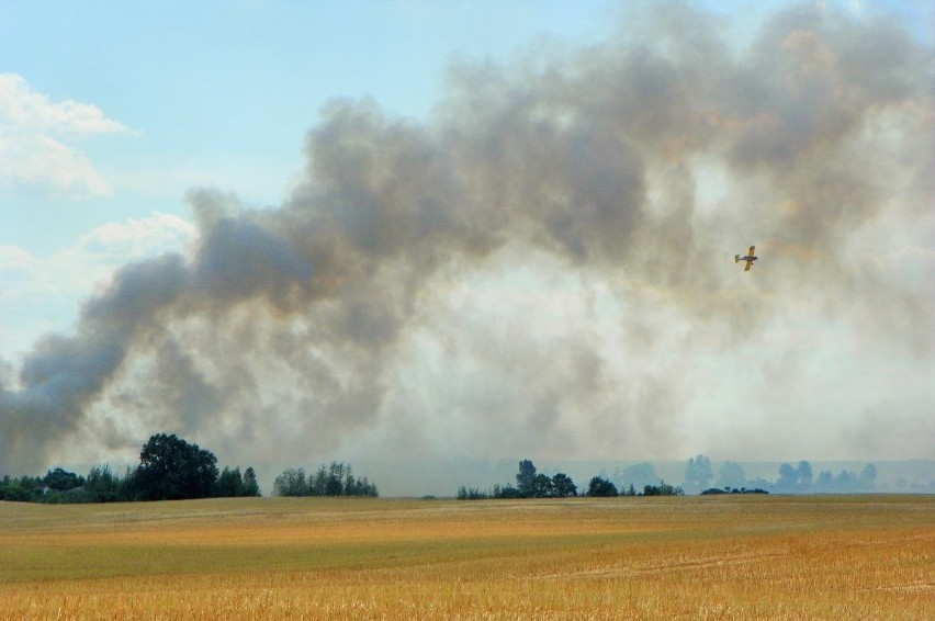 Pożar w Jaraczewie: Strażacy walczą z ogniem na ziemi i z...