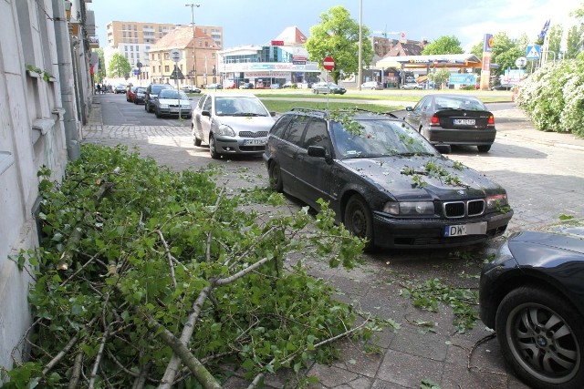 Drzewo powalone przez burzę w rejonie ul. Dmowskiego we Wrocławiu