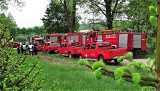 Strażackie manewry w Nadleśnictwie Łupawa. Ćwiczyli gaszenie lasu [zdjęcia]
