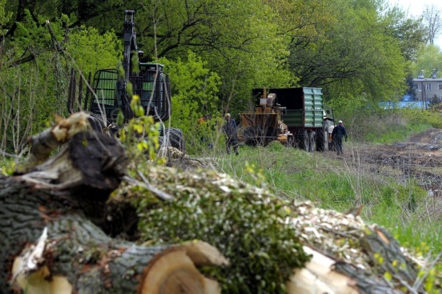 RDOŚ poleciła wcześniej, aby ratusz wysłał szczegółową opinię ornitologiczną dotyczącą feralnej wycinki 340 drzew.