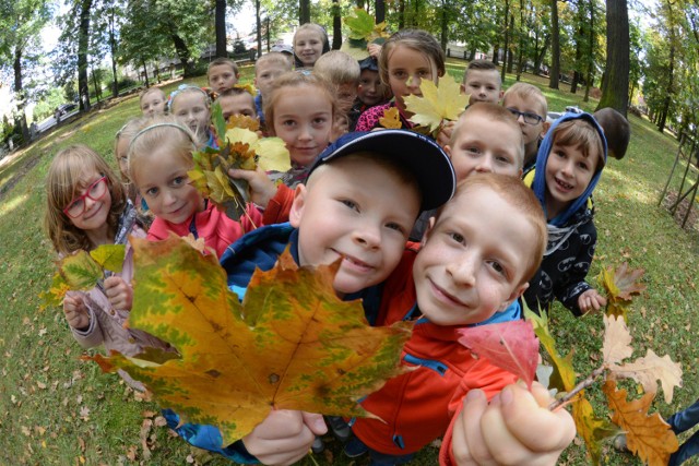 Usunięcie ewolucyjnego kontekstu nauczania biologii jest zdecydowanym krokiem wstecz - alarmują naukowcy z PAN.