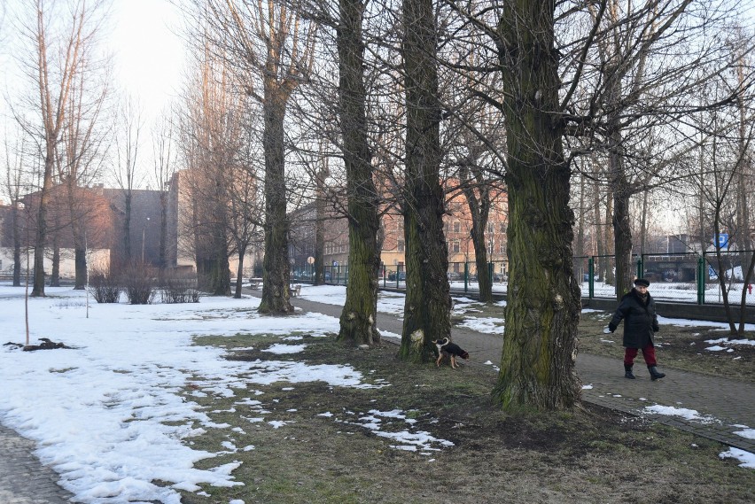 Katowice przymierzają się do generalnych remontów miejskich...