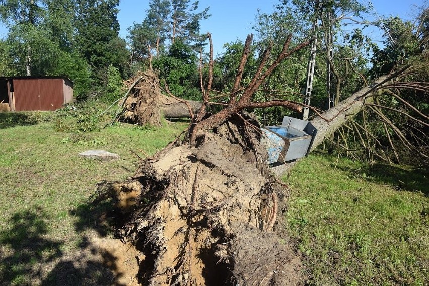 Rytel, piękna wieś letniskowa w Borach Tucholskich,...