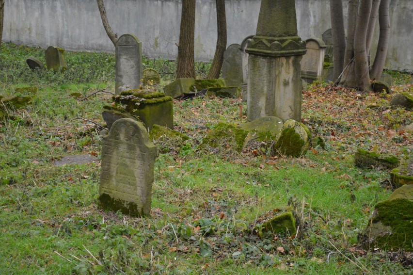 Tarnów. Szukają zbiorowych mogił na cmentarzu żydowskim