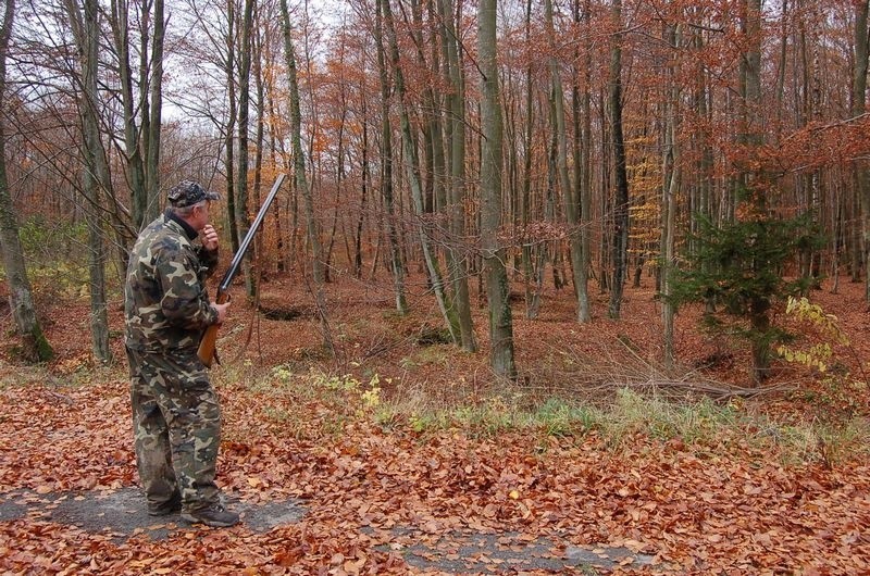 Zdjecia z polowania Kola Lowieckiego "Knieja" nadeslane...