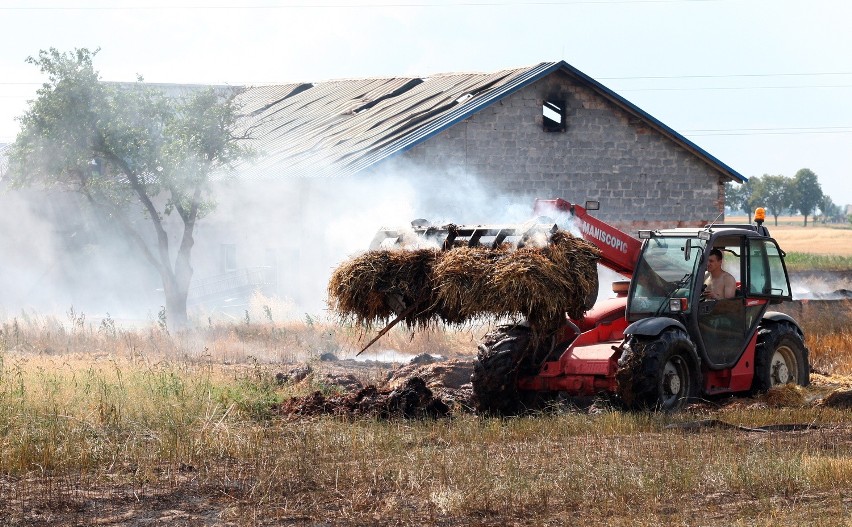 Pożar strawił około 20 hektarów pola.