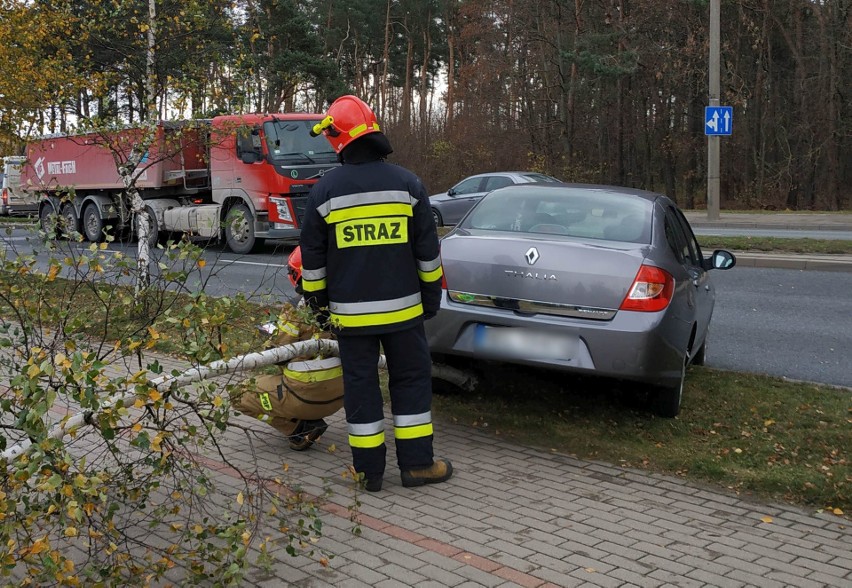 Ełk. Renault uderzyło w ciężarówkę i ścięło drzewo (zdjęcia)