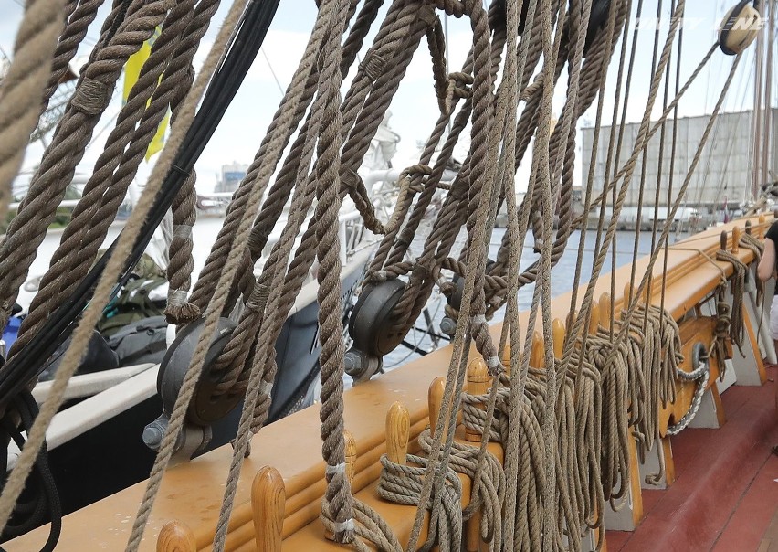 The Tall Ships Races w Szczecinie: Rekrutacja na statku? Tak, to możliwe z Amazonem