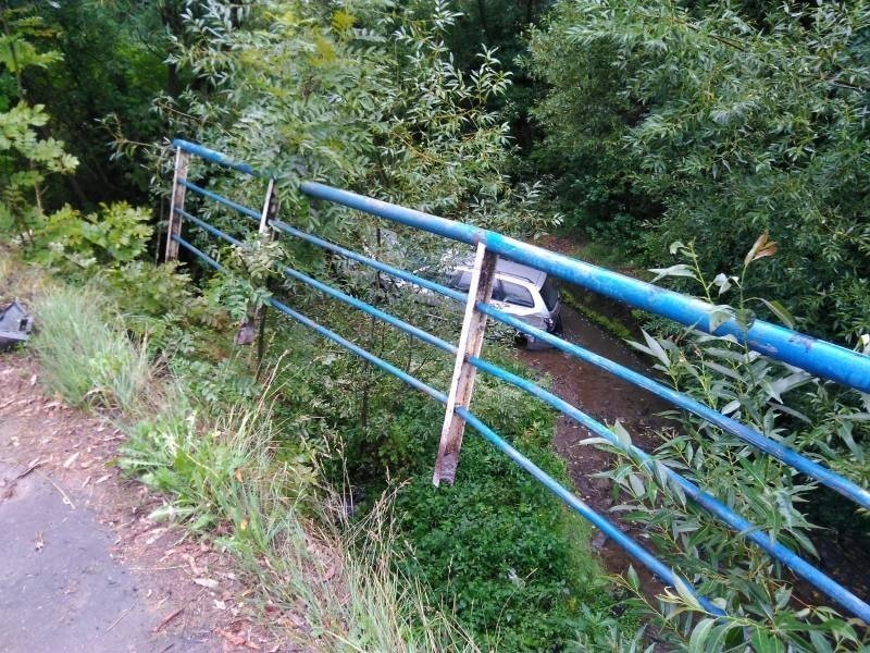 Zagorzyn. Samochód osobowy staranował barierkę i wpadł do potoku [ZDJĘCIA]