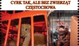 Nie dla cyrku ze zwierzętami w Częstochowie