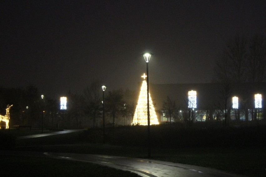 Łomża. Park Jana Pawła II rozświetliły świąteczne iluminacje. Sprawdź zdjęcia
