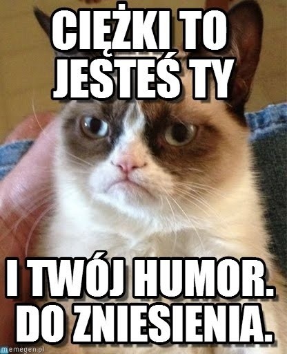 Grumpy Cat zarobił już 100 milionów dolarów