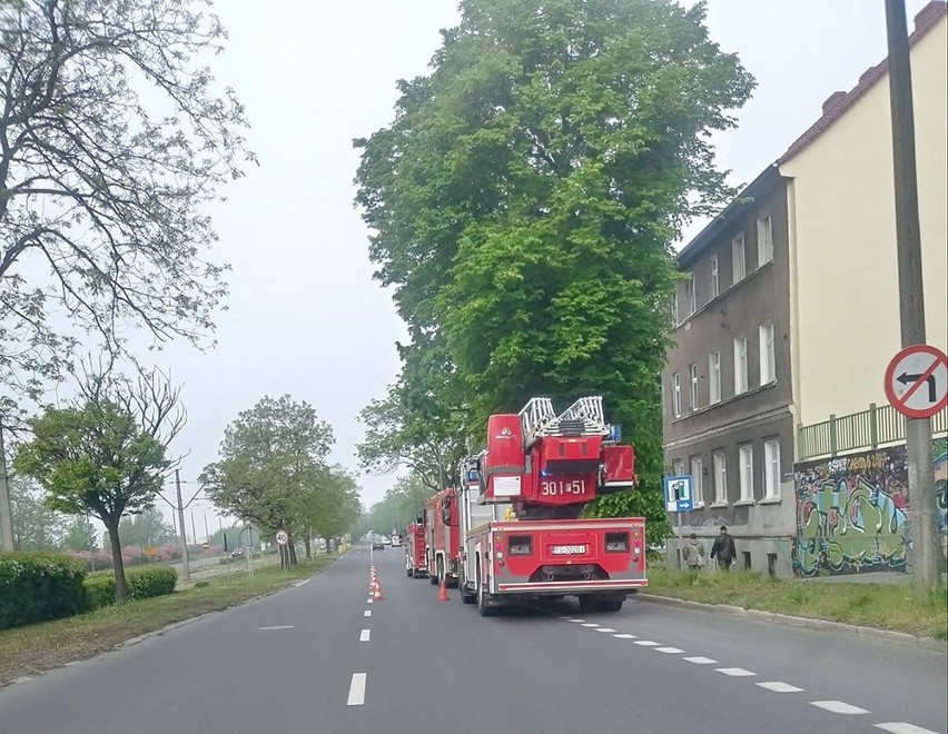 Do pożaru doszło w piątek, 10 maja, w domu przy al. 11...