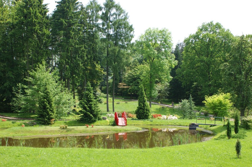 Ogród dendrologiczny /arboretum/ to odmiana ogrodu...