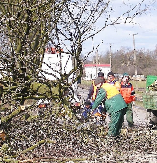 Przy trasie Janikowo-Tupadły rozpoczęto już wycinkę drzew