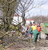 Powiat inowrocławski. Będą kopać, frezować i kłaść nowy asfalt