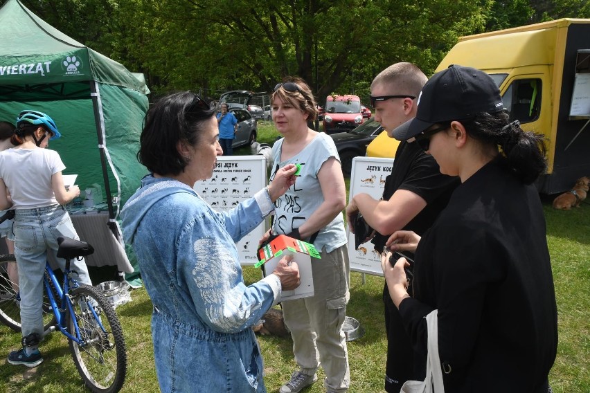 "Piknik" to wydarzenie organizowane przez Schronisko dla...