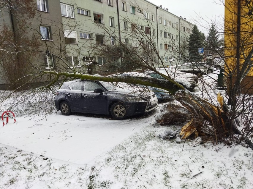 260 interwencji strażaków w woj. śląskim. Połamane drzewa,...