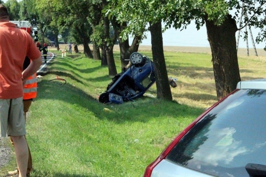 Wypadek pod Głogowem. Renault wjechało w ciężarówkę ze świniami. Jedna osoba nie żyje (FOTO)