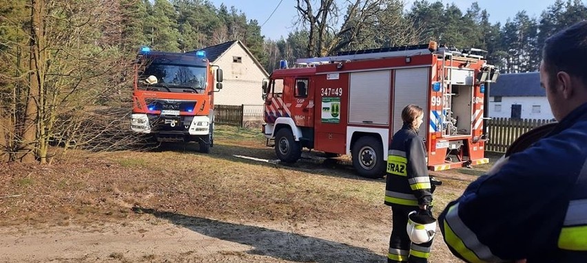 Powiat ostrołęcki. Strażacy wiele razy wyjeżdżali do pożarów traw. 29.03.2020