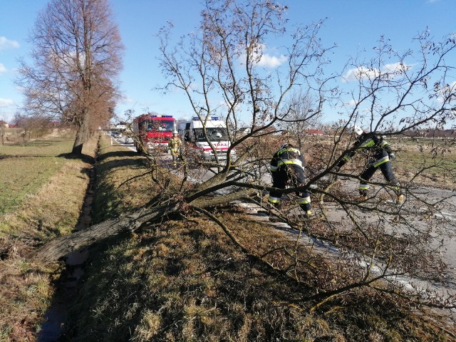 Od rana w sobotę strażacy z Łagowa walczyli ze skutkami potężnej wichury.