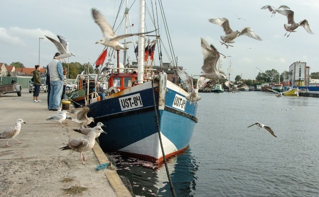 Nowelizacja ustawy o rybołówstwie morskim wprowadza m.in. segmentację floty rybackiej w zależności o wykonywanych połowów.