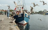 Nowa ustawa o rybołówstwie morskim ma dostosować nasze przepisy do UE
