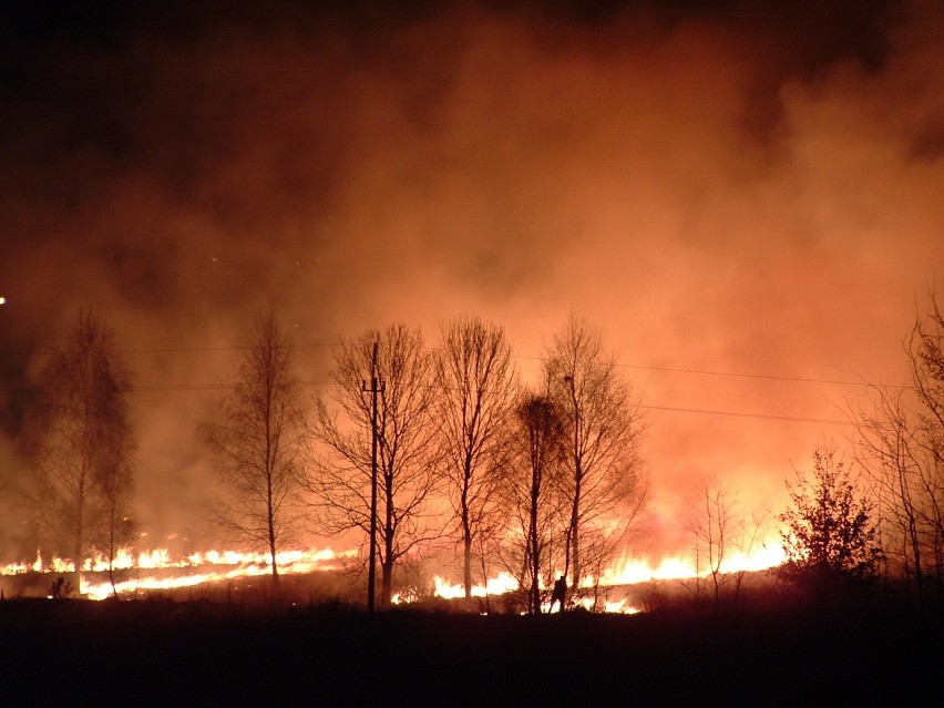 Pożar traw w Radomiu (zdjęcia czytelnika)