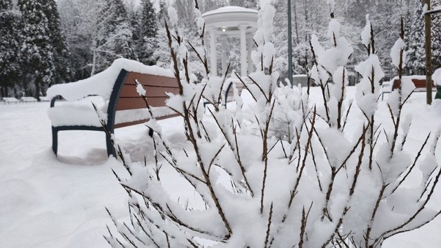 Park Zielona w Dąbrowie Górniczej w zimowej odsłonie Zobacz kolejne zdjęcia/plansze. Przesuwaj zdjęcia w prawo - naciśnij strzałkę lub przycisk NASTĘPNE