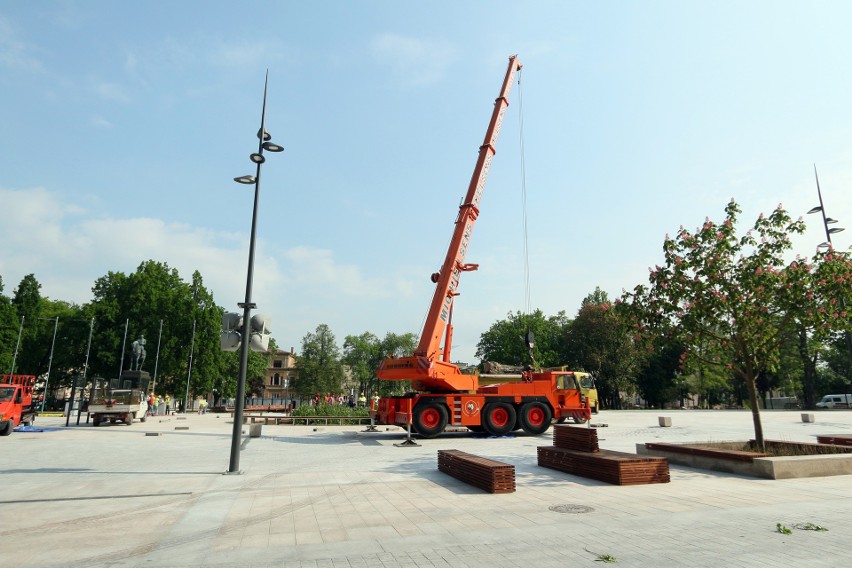 Wycinka drzewa na placu Litewskim: Baobab przeszedł do historii 