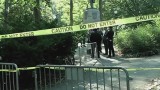 Martwy miś znaleziony w Central Parku [wideo] 