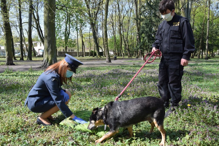 Więźniowie szczecińskiego aresztu zrobili legowiska dla bezdomnych zwierzaków 