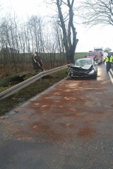 Powalone przez wiatr drzewo spadło na dwa auta w Bocheńcu