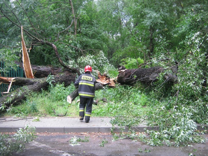 Skutki halnego w Bielsku-Białej.