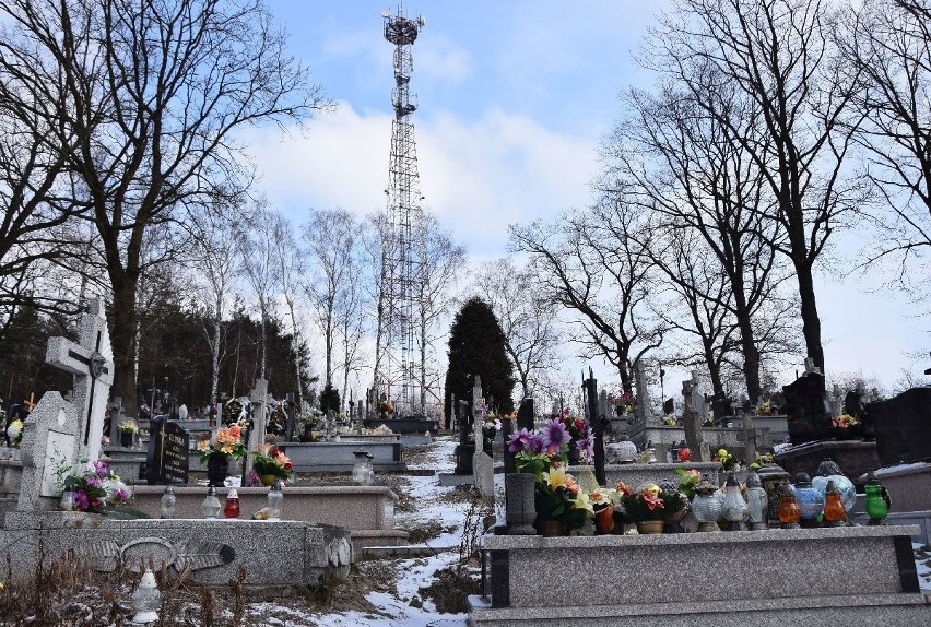 Problem z wieżą telefoniczną w Olesznie załatwiony. Maszt będzie w innym miejscu