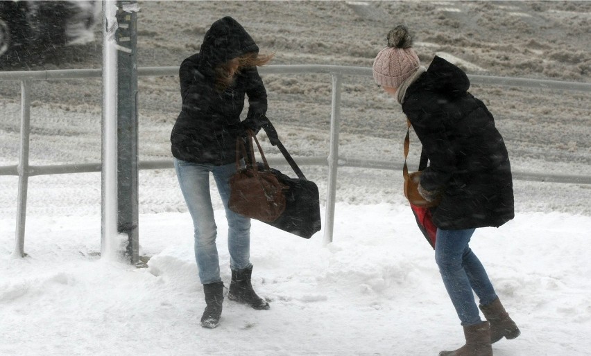 Uwaga na opady śniegu i silny wiatr w Małopolsce [WIDEO]