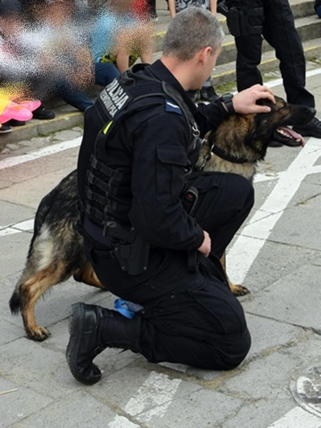 W akcji poszukiwawczej wziął udział także policjant z psem służbowym.