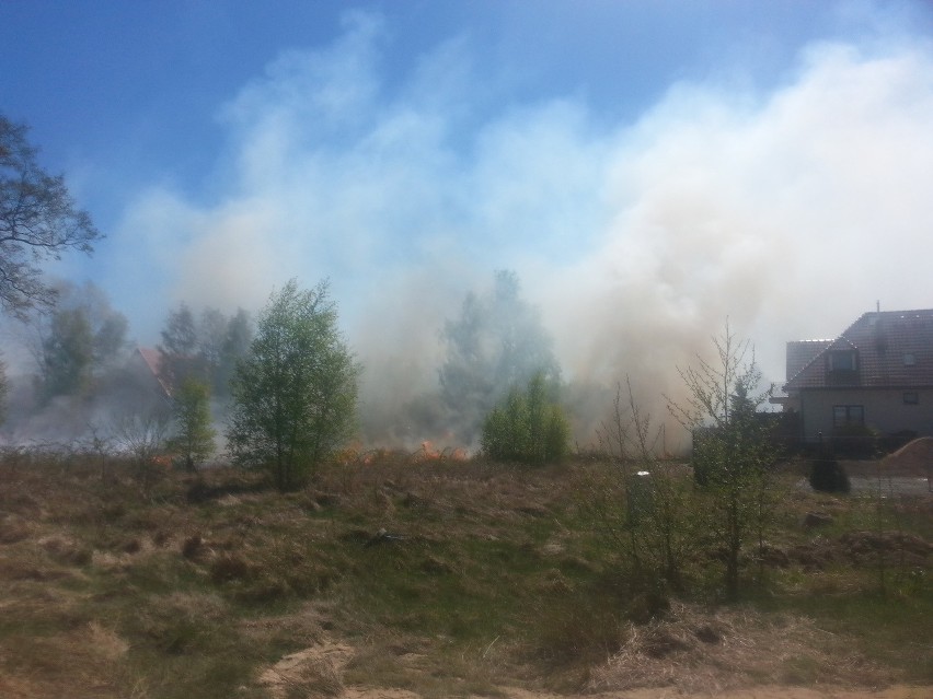 Groźny pożar traw w Rowach