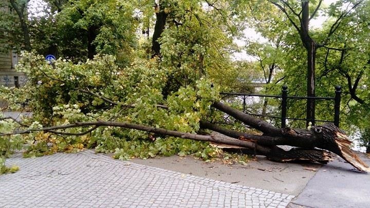 Przeszedł orkan Ksawery. 18 osób rannych, 43 tys. ludzi bez prądu [ZDJĘCIA]