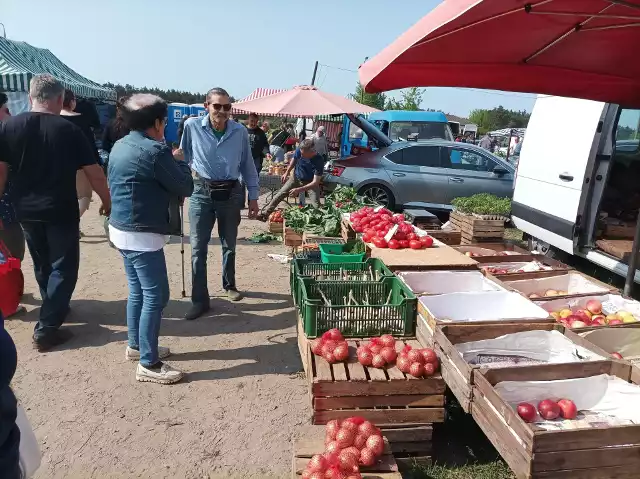 Zobacz ceny warzyw i owoców na targowisku w Kujawsko-Pomorskiem - szczegóły w galerii.